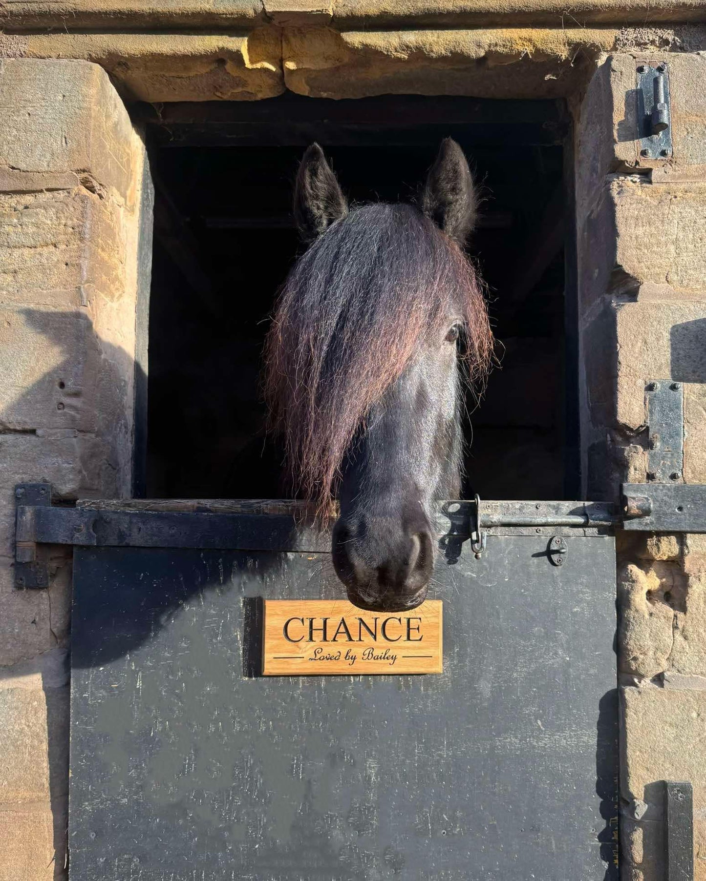 Stable Name Sign - Horse Name & Show/Owner Name