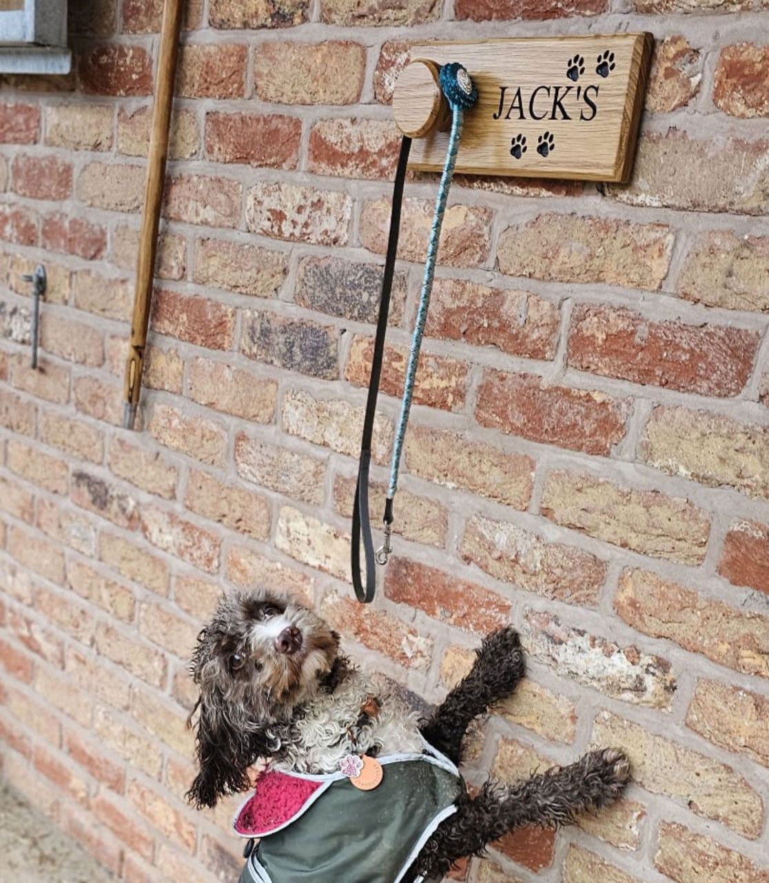 Dog Lead Holder