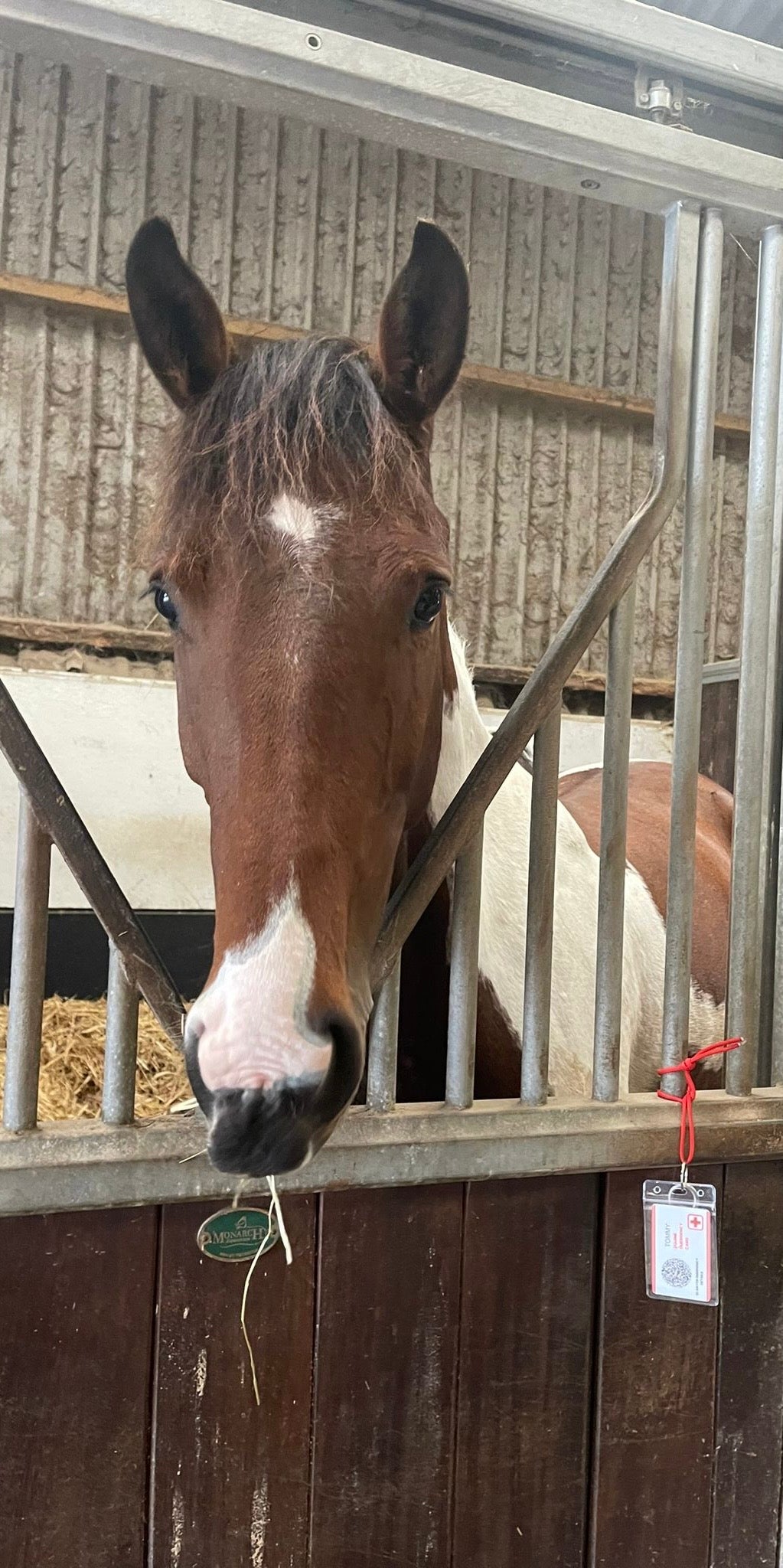 Equine Emergency Card (QR Code)