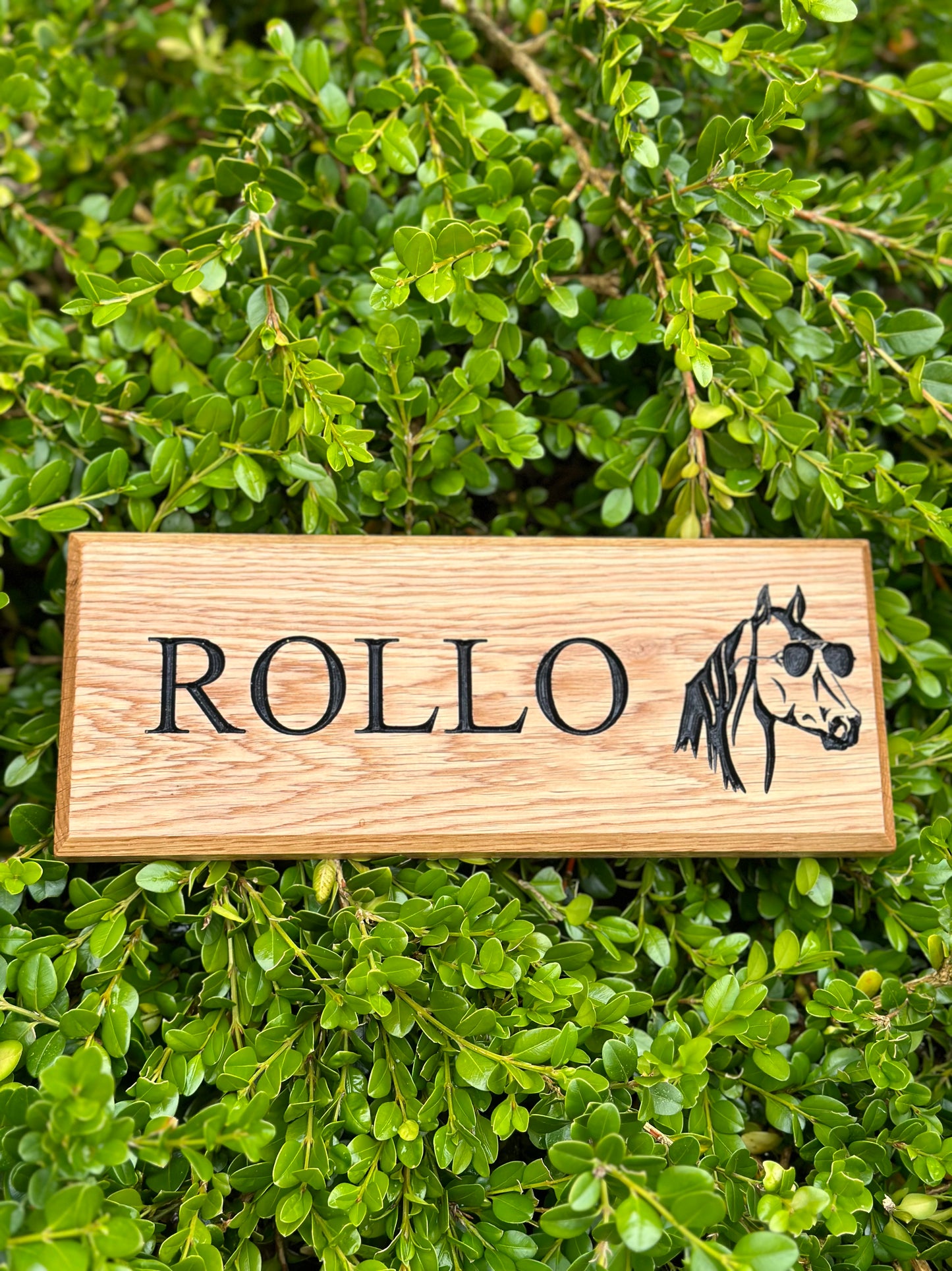 Stable Name Sign - Horse Name & Horse Head With Sunglasses