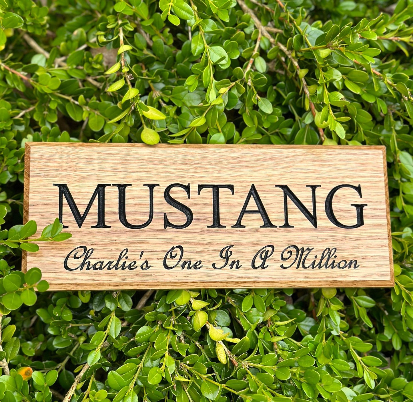 Stable Name Sign - Horse Name & Show/Owner Name