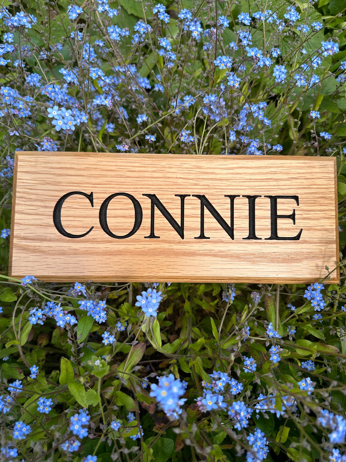 Stable Name Sign - Horse Name Only (Traditional Font)