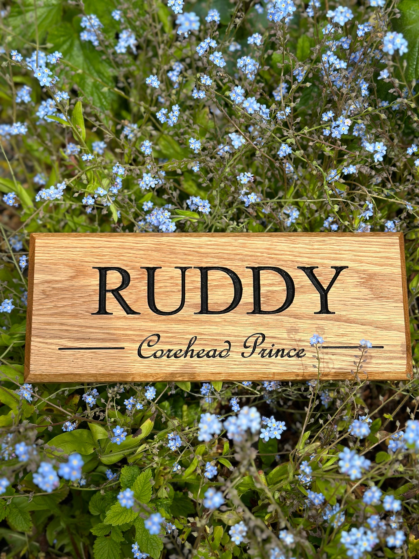 Stable Name Sign - Horse Name & Show/Owner Name