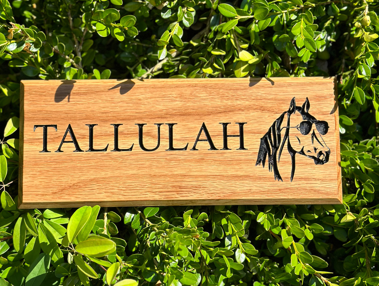 Stable Name Sign - Horse Name & Horse Head With Sunglasses